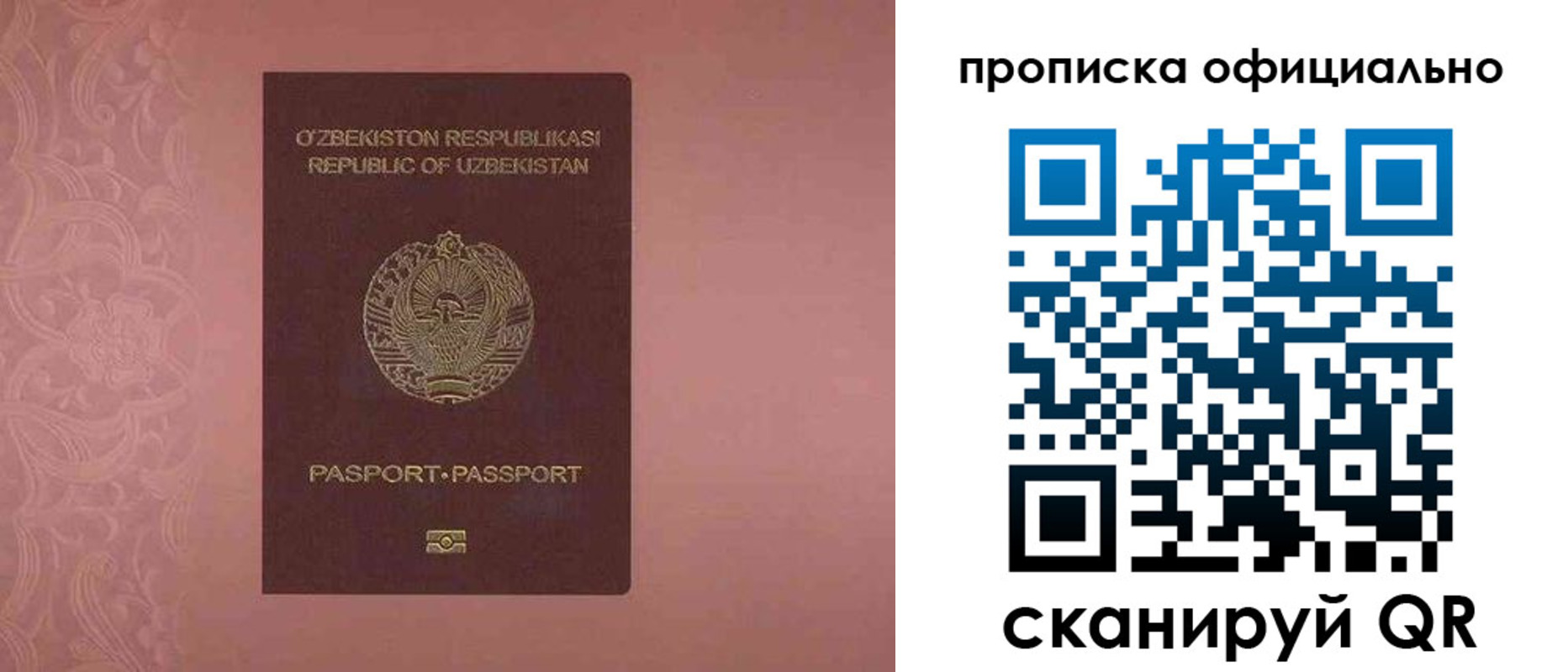 прописка для школы в Ликино-Дулёво